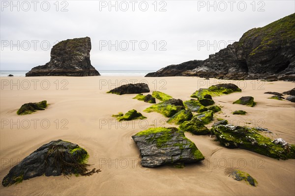 Rocky coast