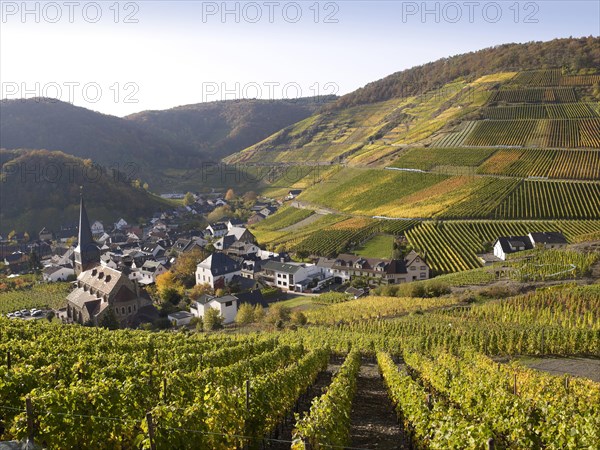 Village of Mayschoss surrounded by vineyards in autumn