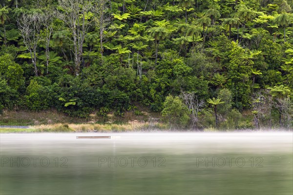 Mist over Lake Tikitapu in the morning