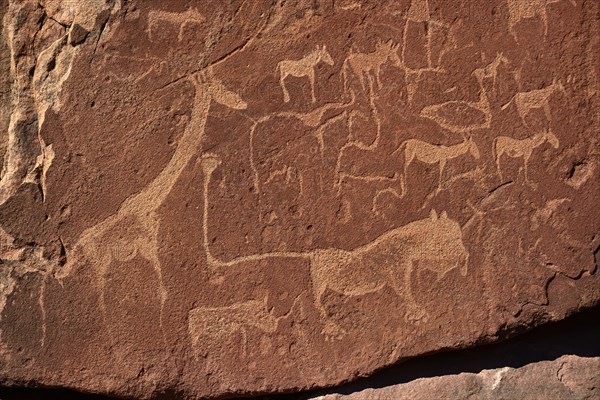 Rock carvings of the San people