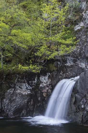 Waterfall in a forest