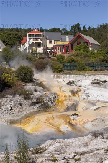 Hot sulphur sources in the geothermal field of Whakarewarewa