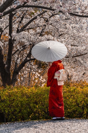 Japanese woman in traditional clothes