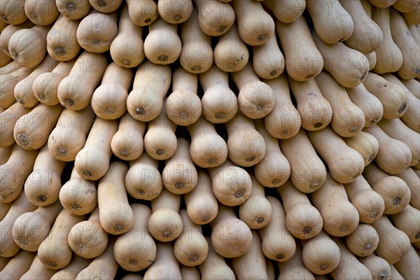 Bottle gourds