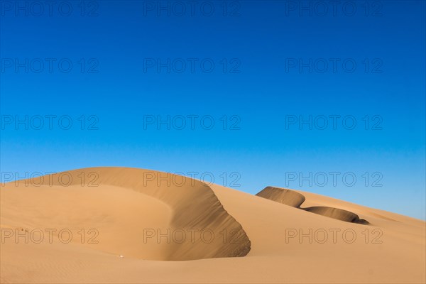 Dune belt of Long Beach