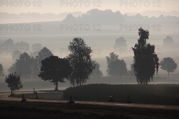 Country road