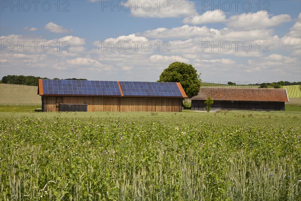 Barn with a solar-panelled roof