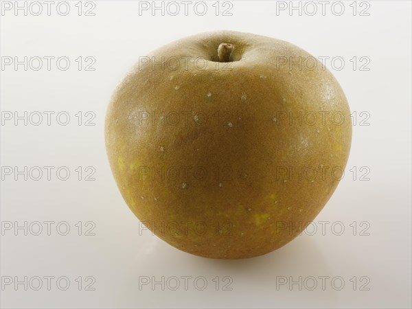 Russet apple