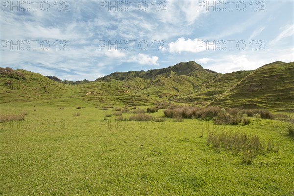 Landscape with green hills