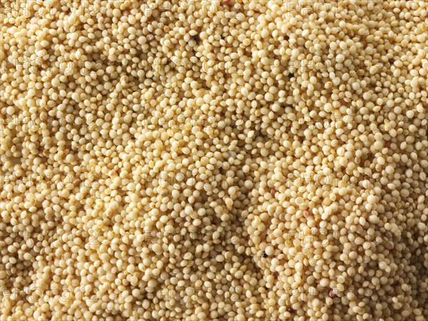 Amaranth supergrain