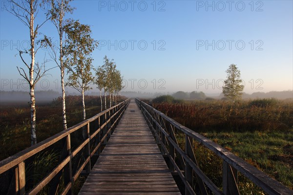 Lake Federsee boardwalk