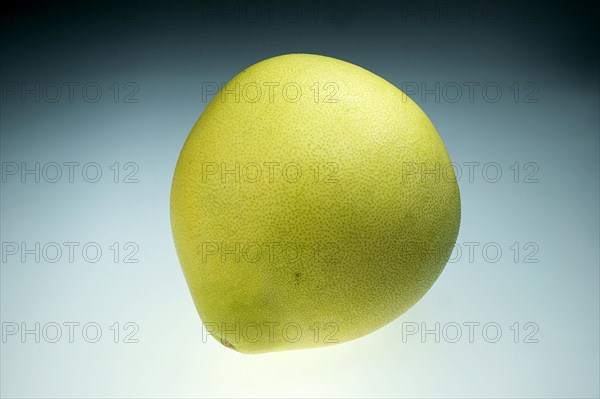 Honey Pomelo (Citrus maxima