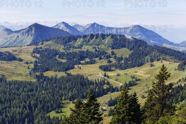 Mountains of Illingerberg