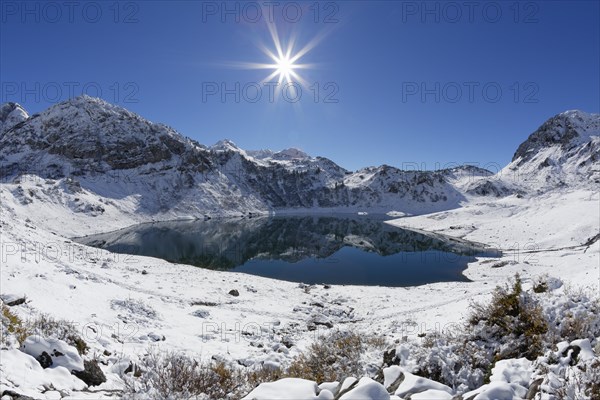Winter landscape