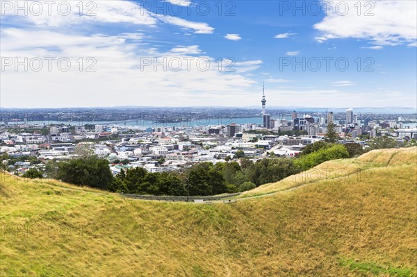 View from Mount Eden