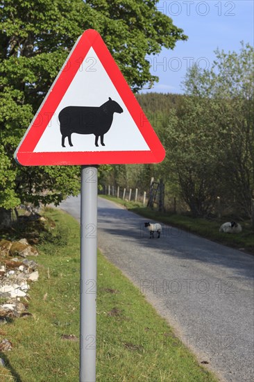 Street sign