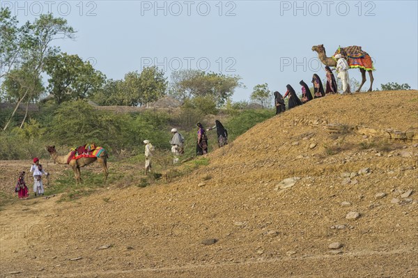 Rabari tribe people walking in the desert with a dromedary