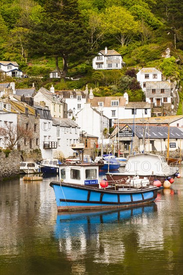 Harbour with fishing boats