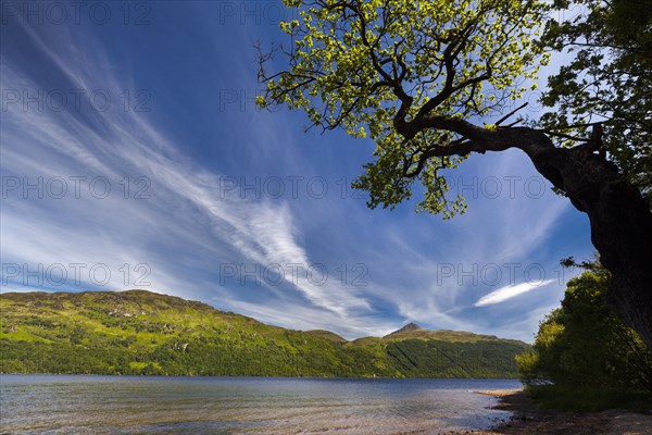 Loch Lomond