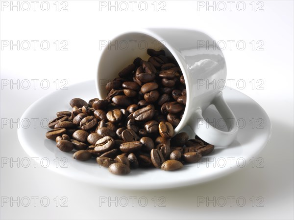 Coffee beans in a coffee cup