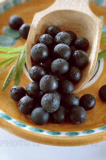 Fresh whole Acai berries (Euterpe oleracea)