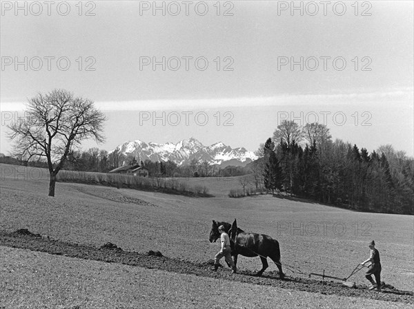 Field order with double plough and horse
