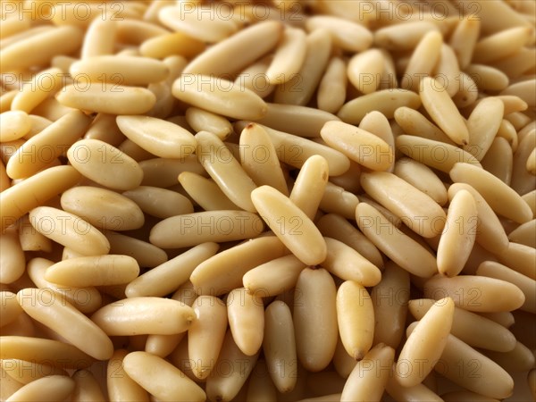 Whole fresh pine nuts