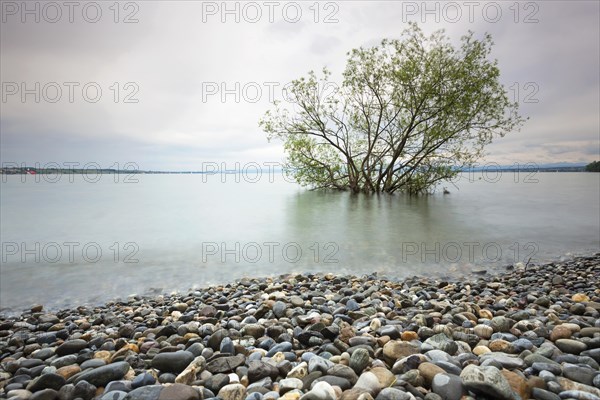 Shore during high waters at Hoernle