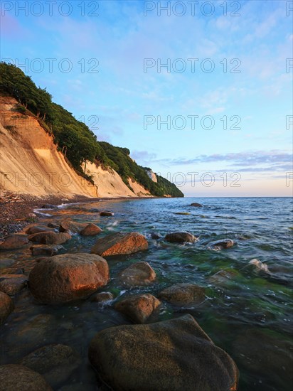 Chalk cliffs with the Koenigsstuhl cliff in the early morning