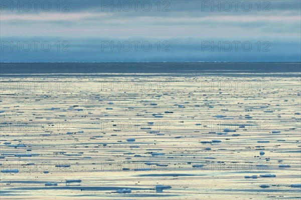 Drifting ice floes on the edge of the pack ice