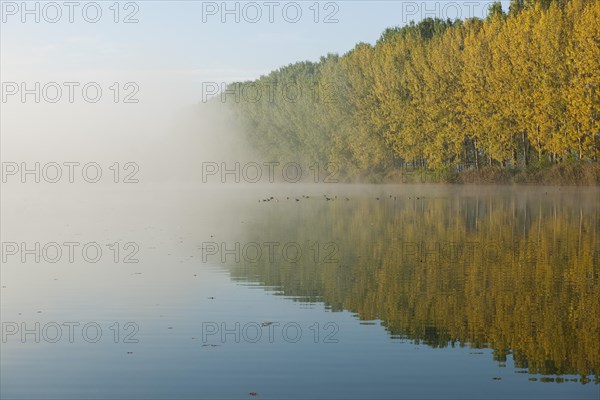 Pond landscape with fog in autumn