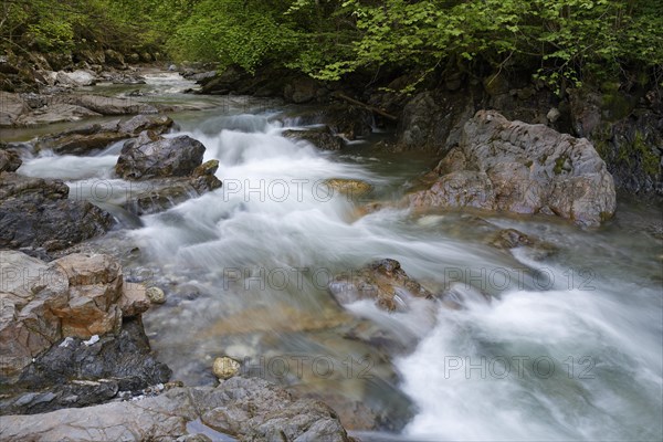 Troegerner Klamm gorge