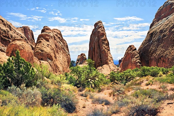 Devil's Garden with sandstone cliffs formed by erosion