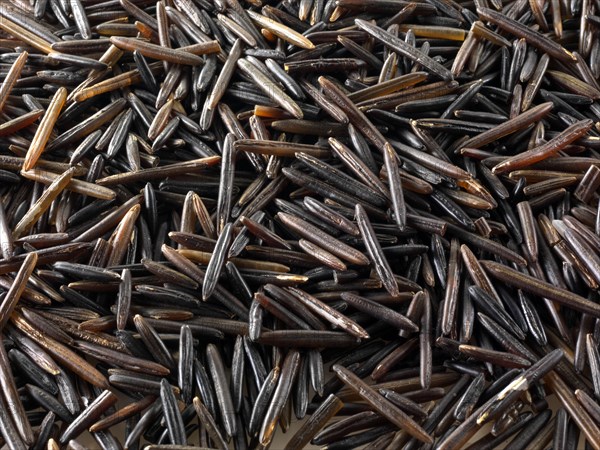 Wild rice grains