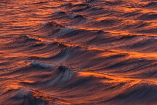 Bow waves in the evening light