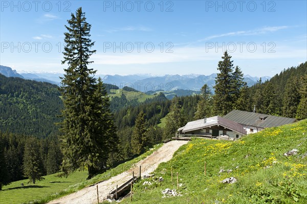 Hut on the Schreck-Alm alpine pasture
