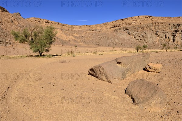 Volcanic landscape of the upper Ouksem crater