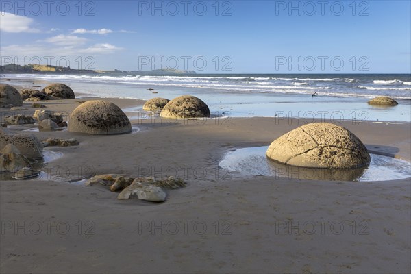 Moeraki Boulders on the beach in the evening light