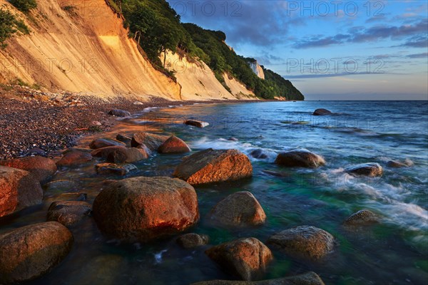 Chalk cliffs with the Koenigsstuhl cliff in the early morning