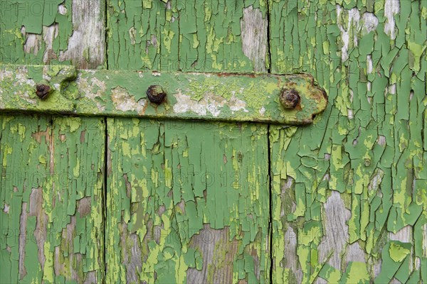 Peeling green paint on wooden boards and a hinge