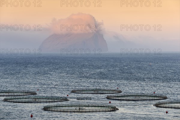 Fish farm
