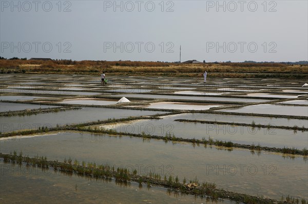 Salt farm