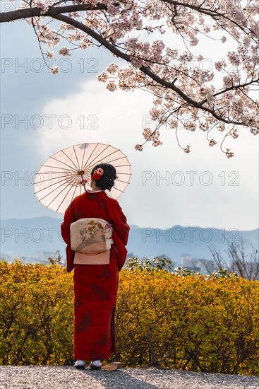 Japanese woman in traditional clothes