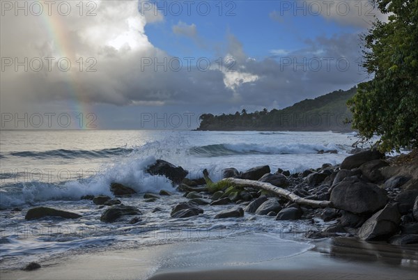 Coast at Plage de Grande Anse