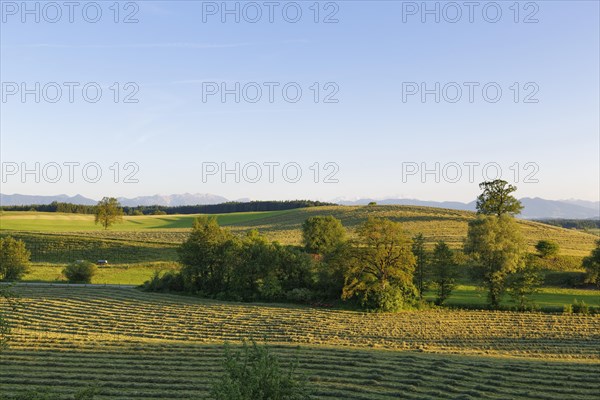 Cultural landscape with mown meadows