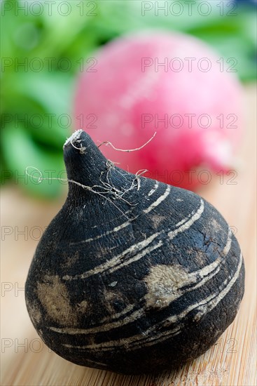 Black radish
