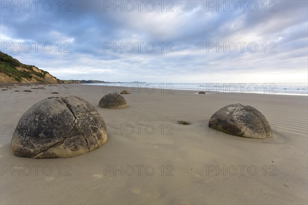 Moeraki Boulders on the beach