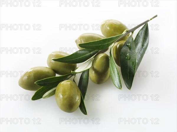 Green queen olives on an olive sprig