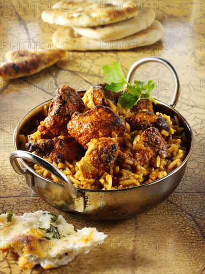 Indian Rogan Josh chicken curry