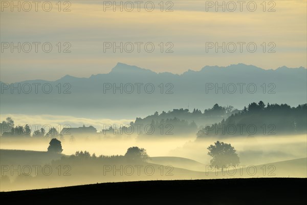 Autumn fog atmosphere in Swiss Plateau or Central Plateau